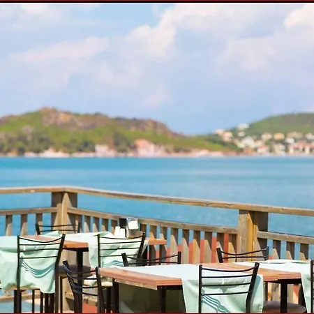 Hotel Ivy Sailing 4*