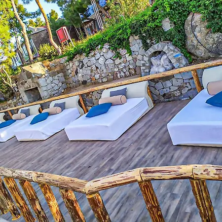 Ivy Sailing Hotel 4*