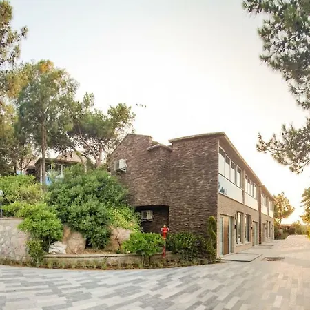 Ivy Sailing Hotel 4*