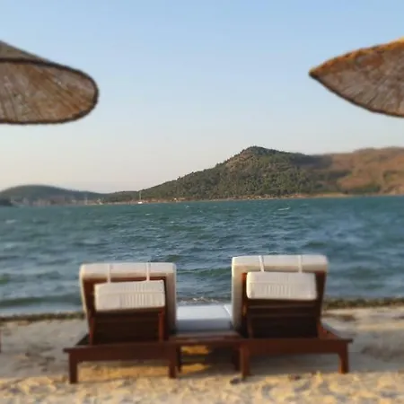 Hotel Ivy Sailing 4*