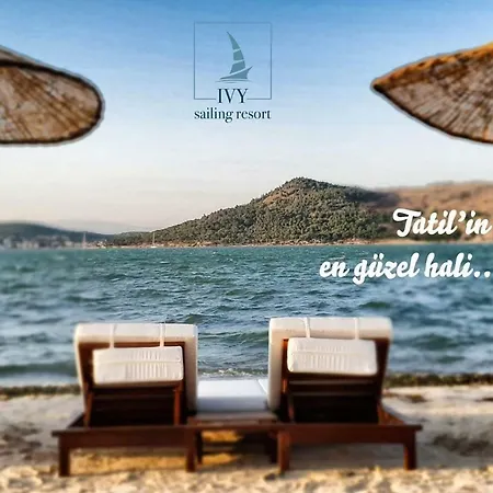 Ivy Sailing