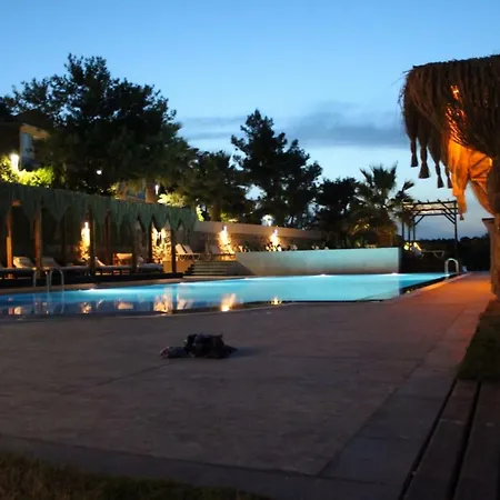 Ivy Sailing Hotel 4*