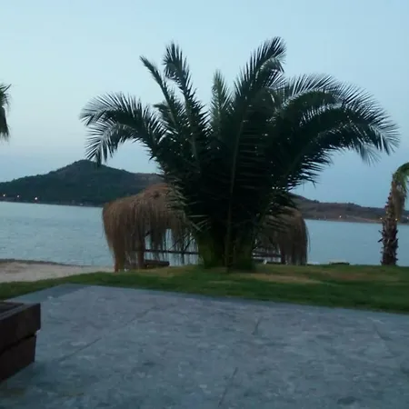Ivy Sailing Hotel