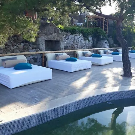 Ivy Sailing Hotel 4*